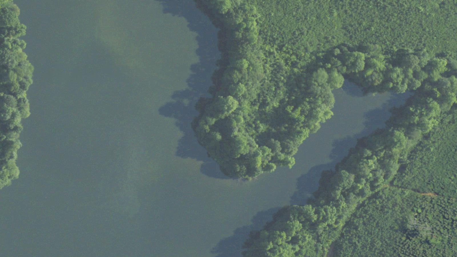 Aerial survey view of Bayview Bridge