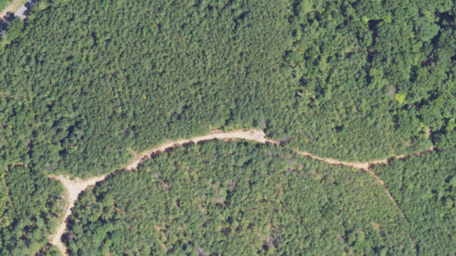 Aerial survey view of Cemetery Mountain
