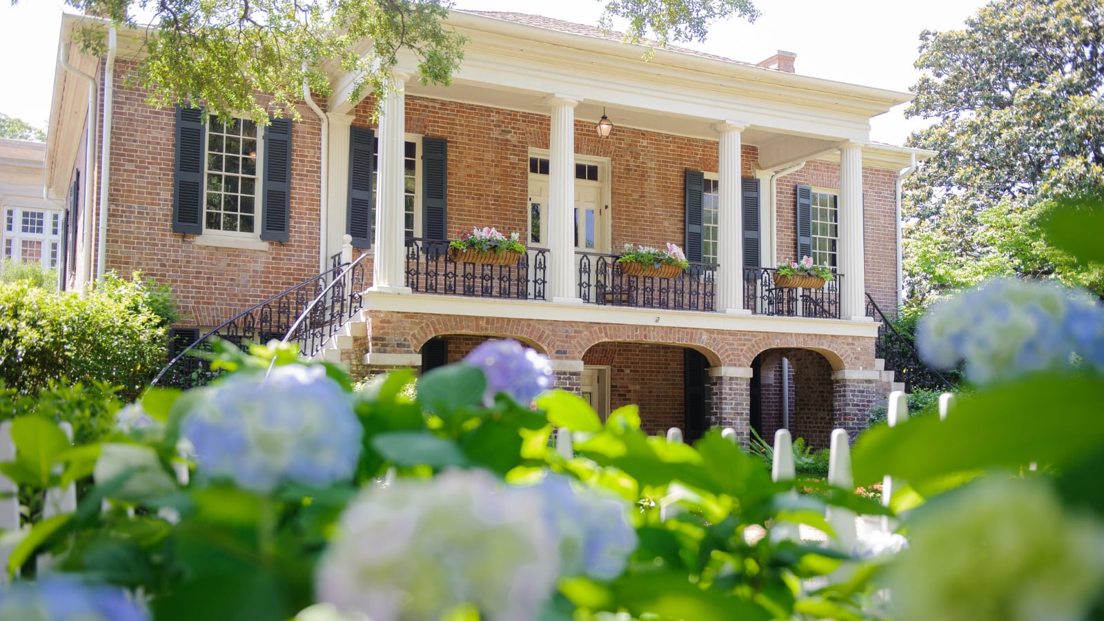 Photo of Gorgas House Museum
