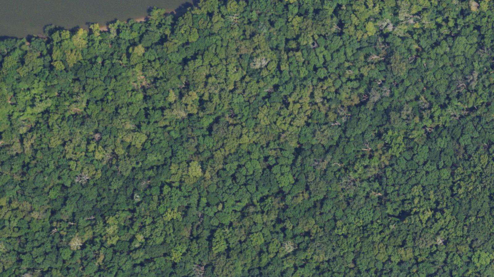 Aerial survey view of Nancy Mountain