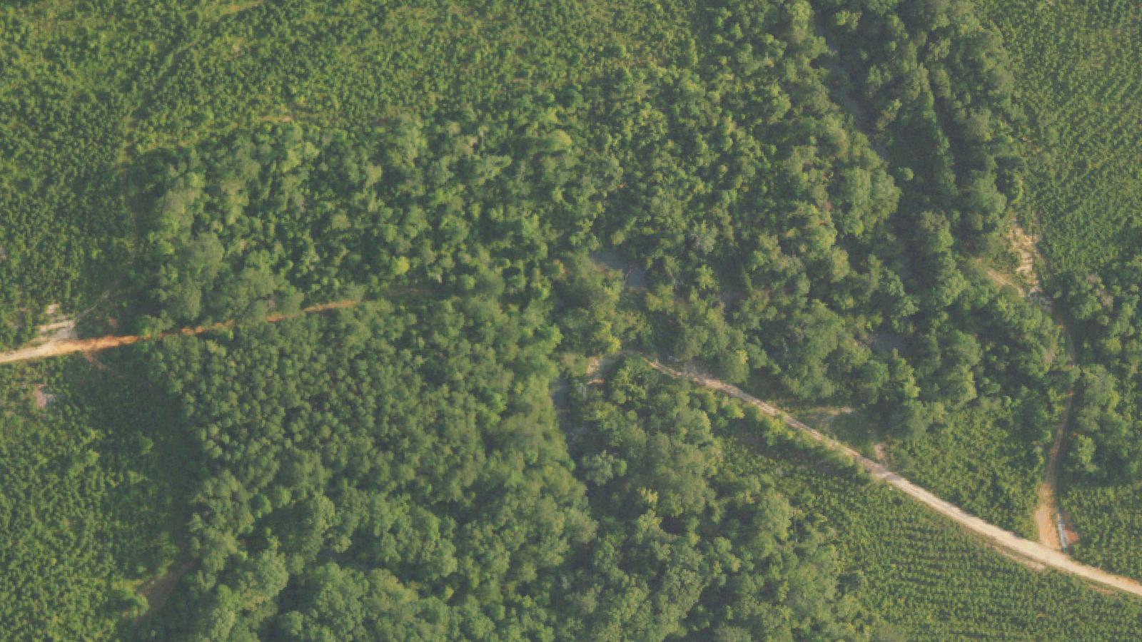 Aerial survey view of Oakachoy Covered Bridge (Site)