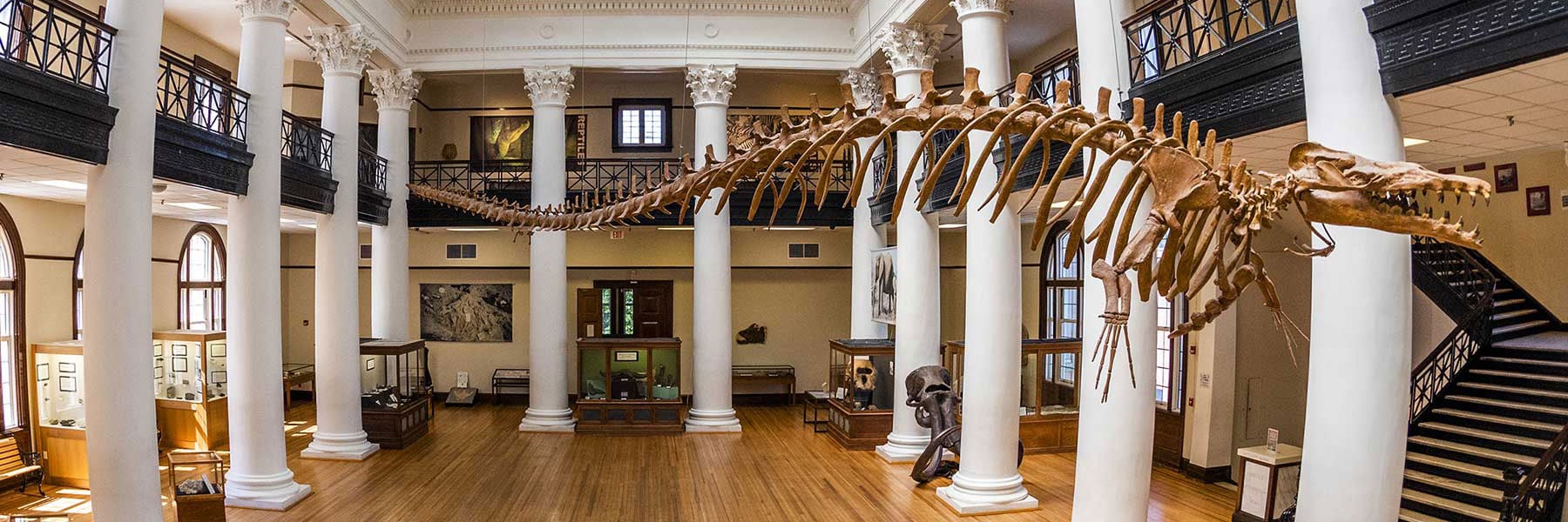 Photo of Smith Hall — Alabama Museum of Natural History