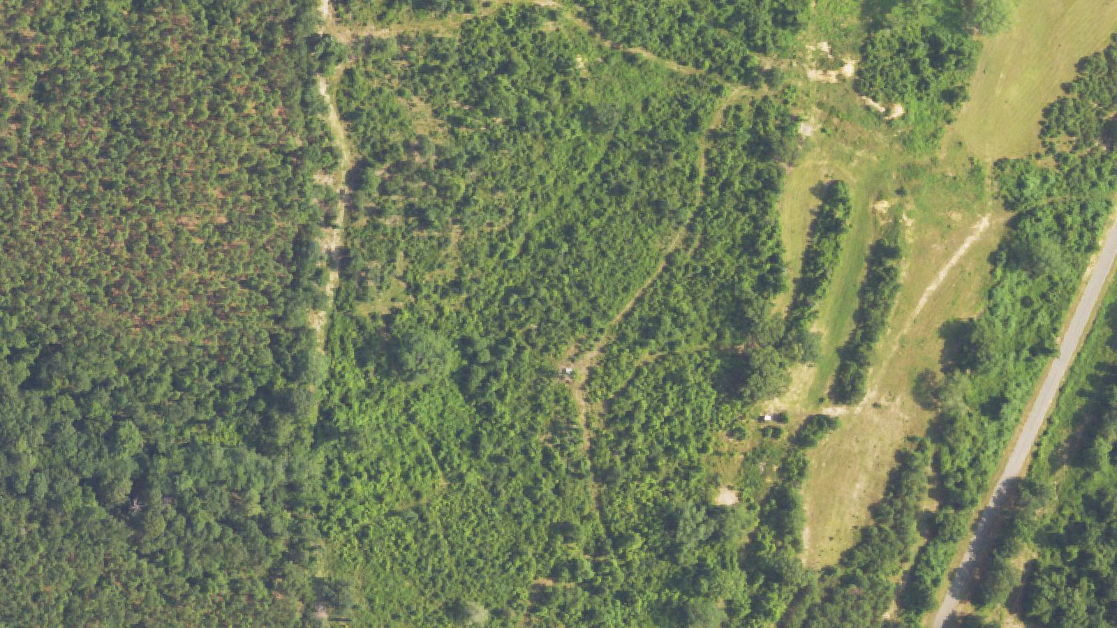 Aerial survey view of Tuskegee National Forest