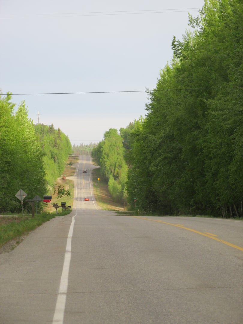 Chena Hot Springs Road at Mile 17 through interior Alaska boreal forest near Fairbanks
