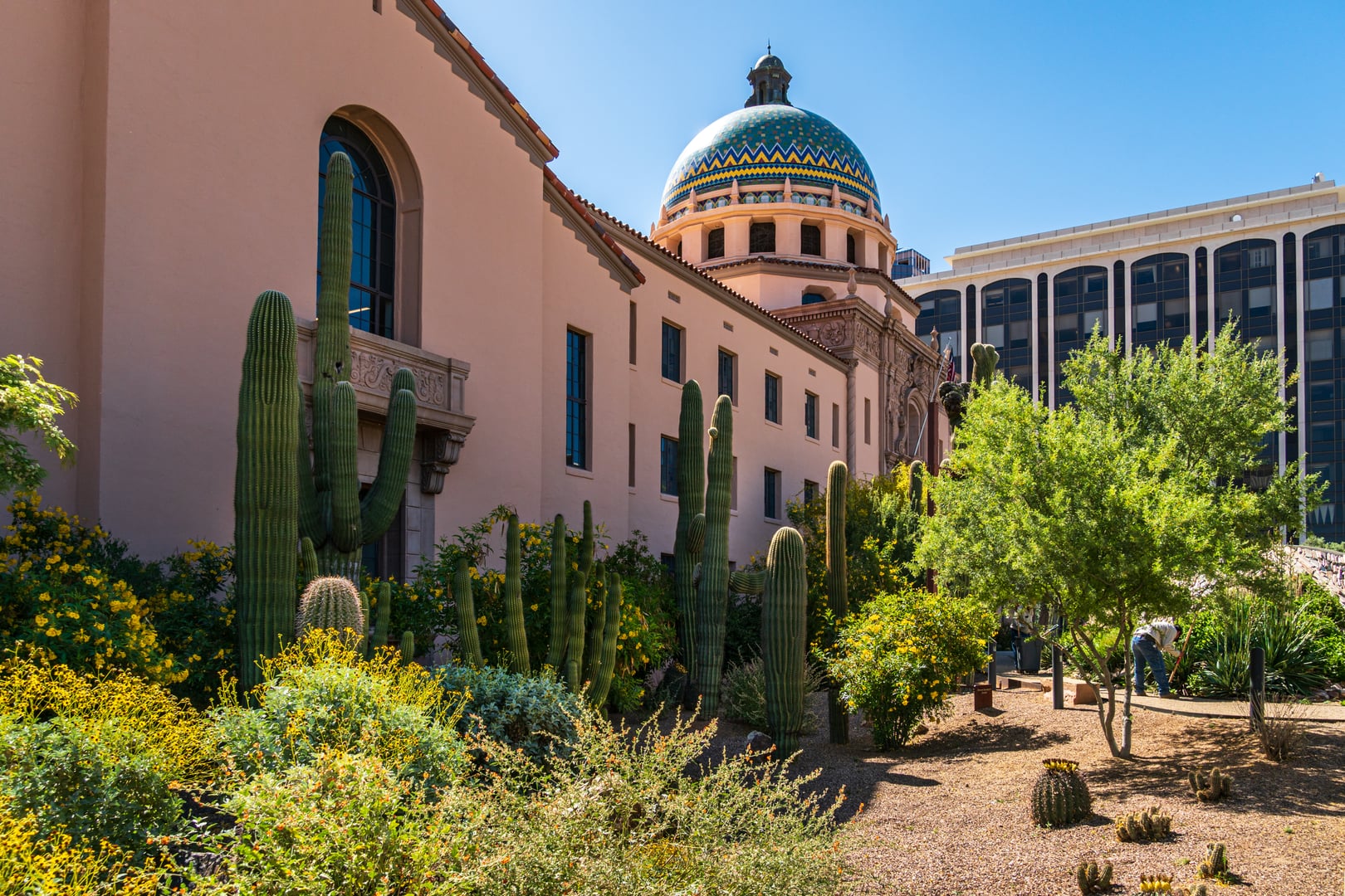 Exterior of the Pima County Historic Courthouse in Tucson, Arizona, showing the Spanish Colonial Revival facade with saguaro cacti