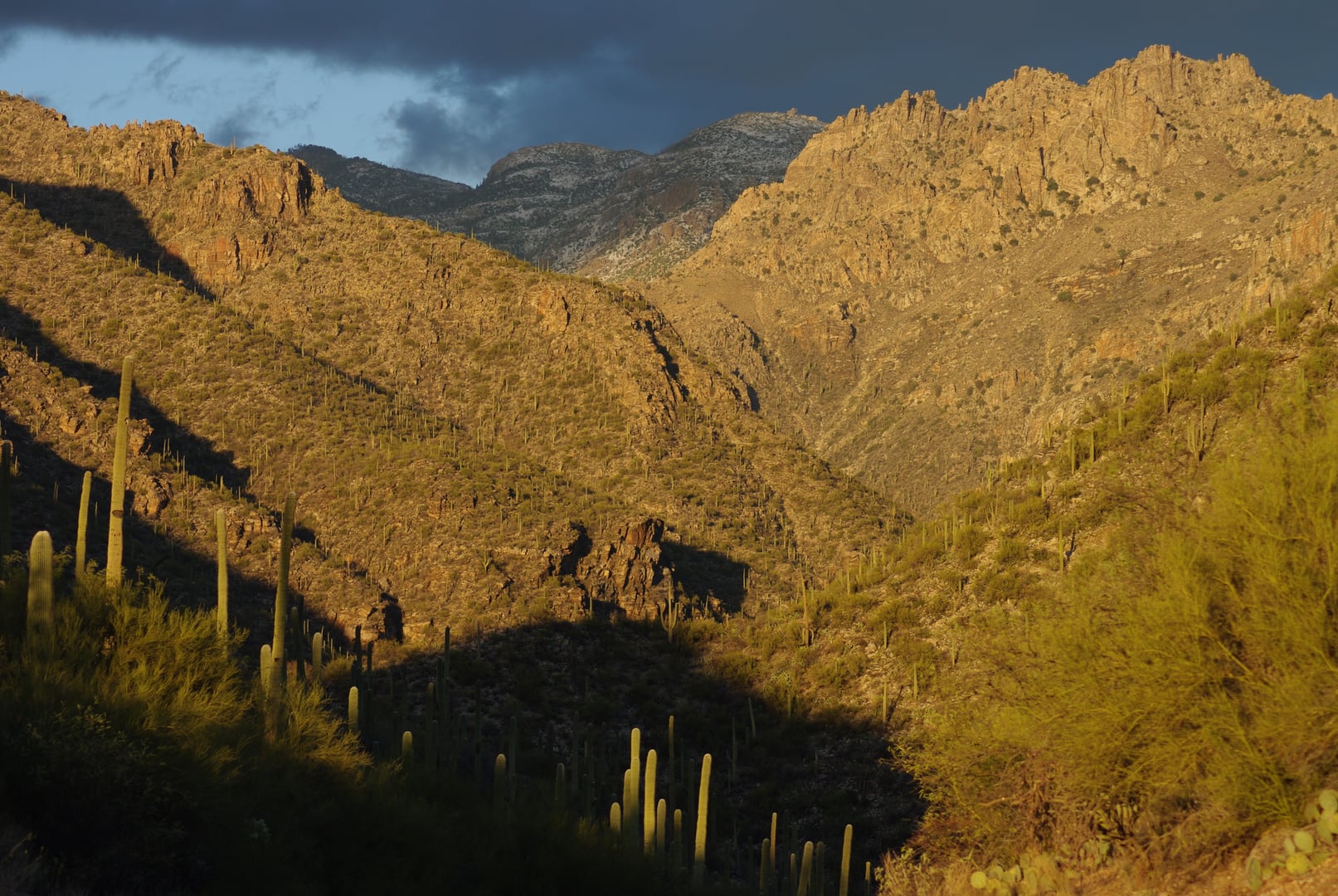 Sunset view of Sabino Canyon in the Santa Catalina Mountains north of Tucson, Arizona, showing rugged canyon walls in golden evening light