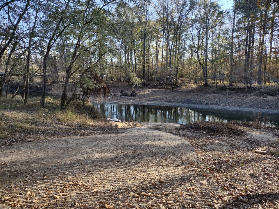 The Jenkins' Ferry Battlefield in Arkansas. The stream is the Saline River.