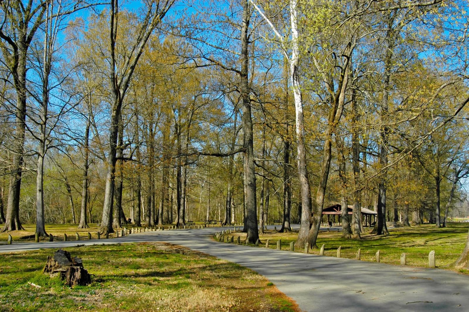 Open Graph image from www.arkansasstateparks.com