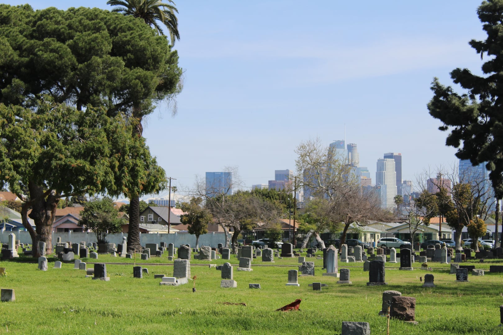 Photo of Angelus-Rosedale Cemetery