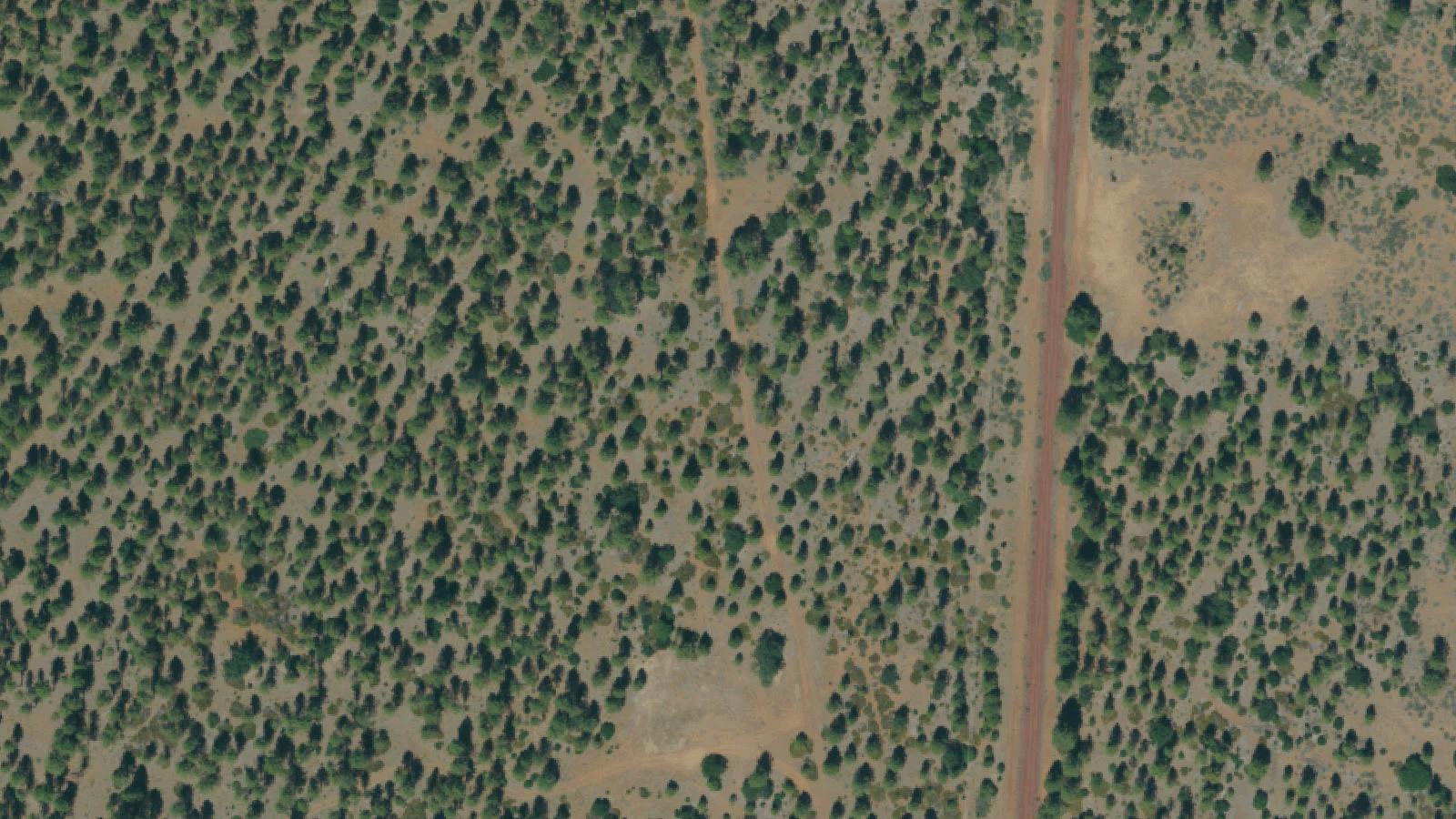 Aerial survey view of Black Ranch Road
