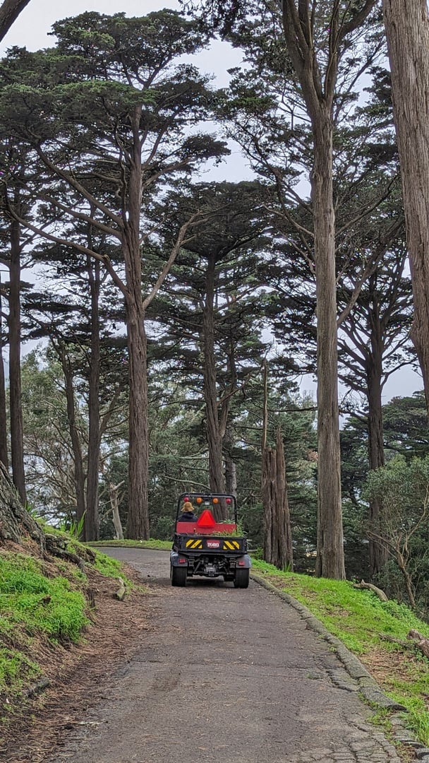Photo of Buena Vista Park