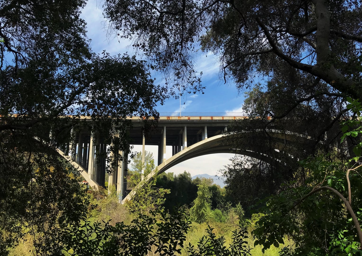 Colorado Street Bridge in Pasadena viewed from the Arroyo Seco below, showing the nine concrete arches spanning 148 feet above the canyon