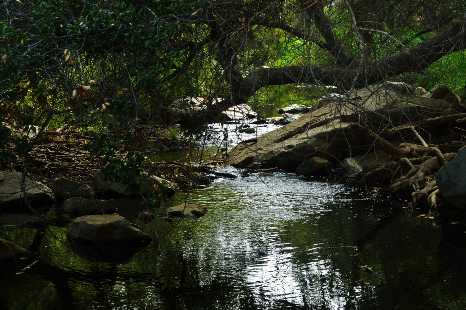 View of Escondido Creek within the Elfin Forest Recreational Reserve, San Diego County, California
