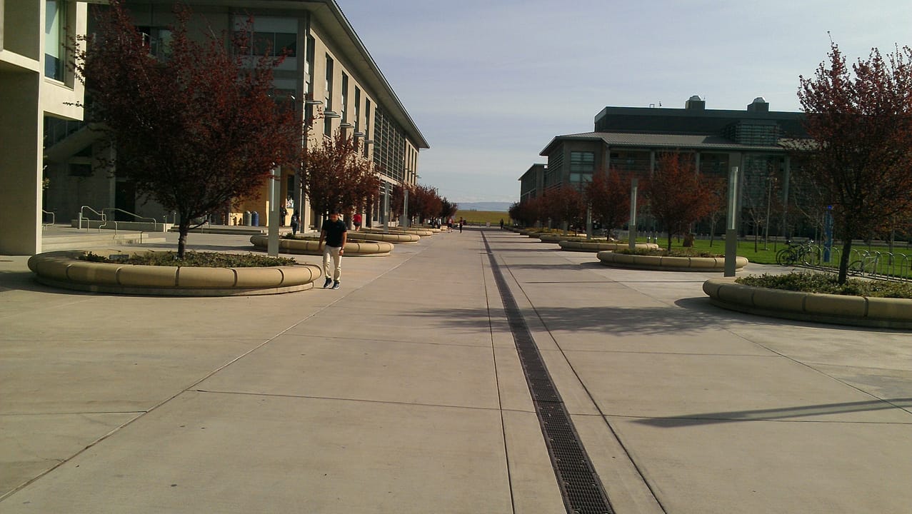 scholars lane