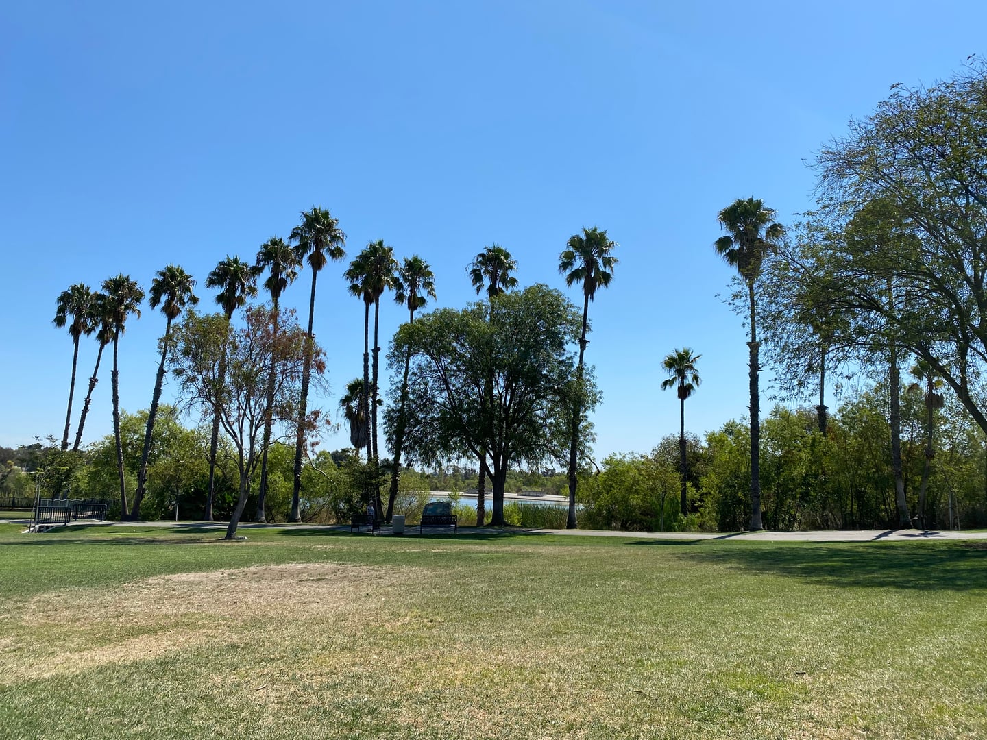 The duck pond and wetland of Ken Malloy Harbor Regional Park near the Los Angeles Harbor