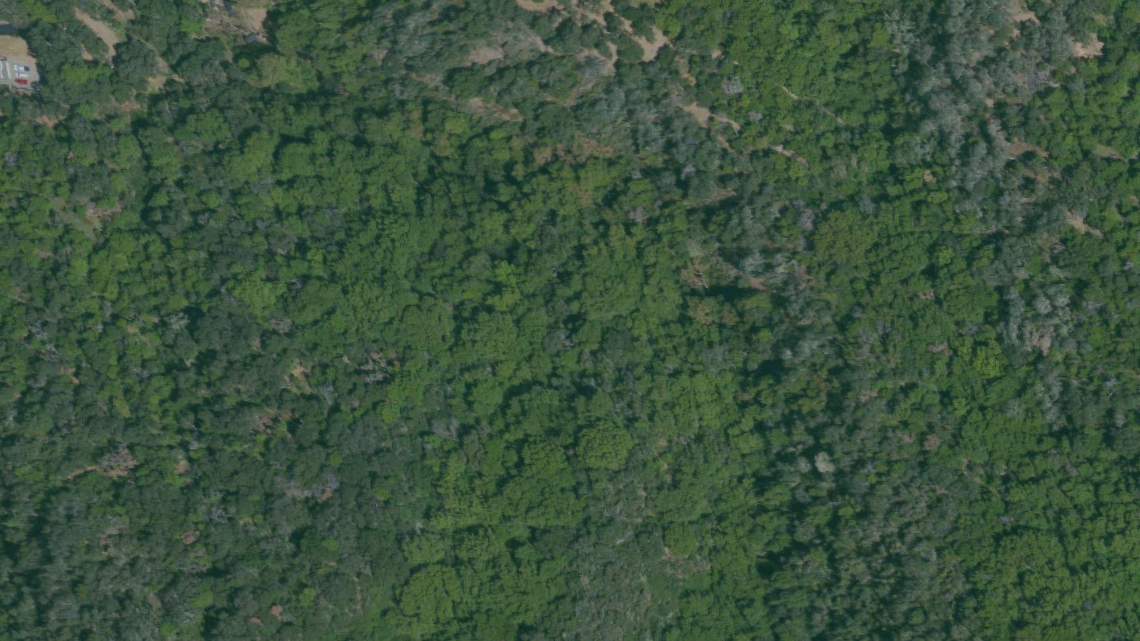 Aerial survey view of Hicks Road