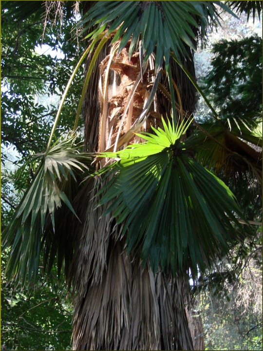 Photo of Kimberly Crest