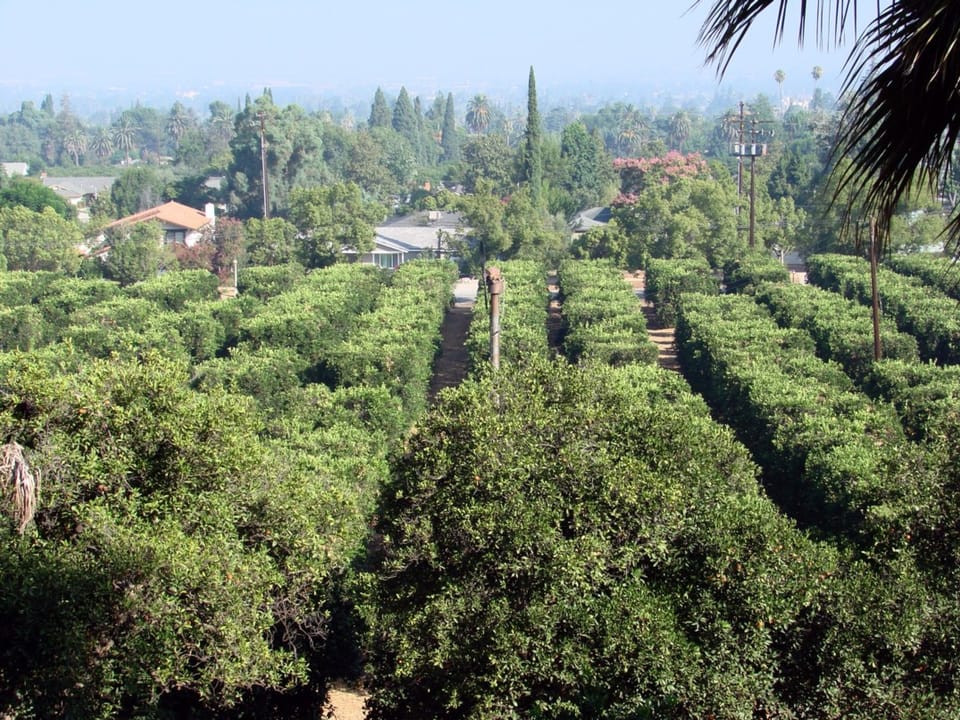 Photo of Kimberly Crest