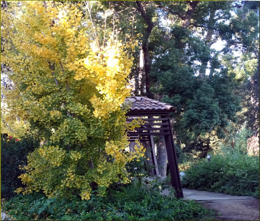 Photo of Kimberly Crest