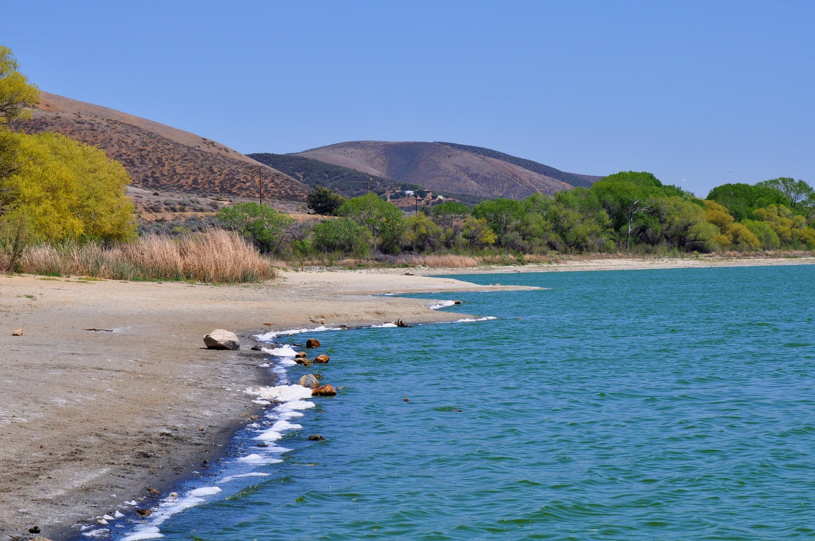 Elizabeth Lake