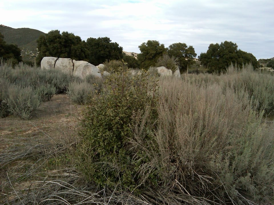 Lake Morena County Park