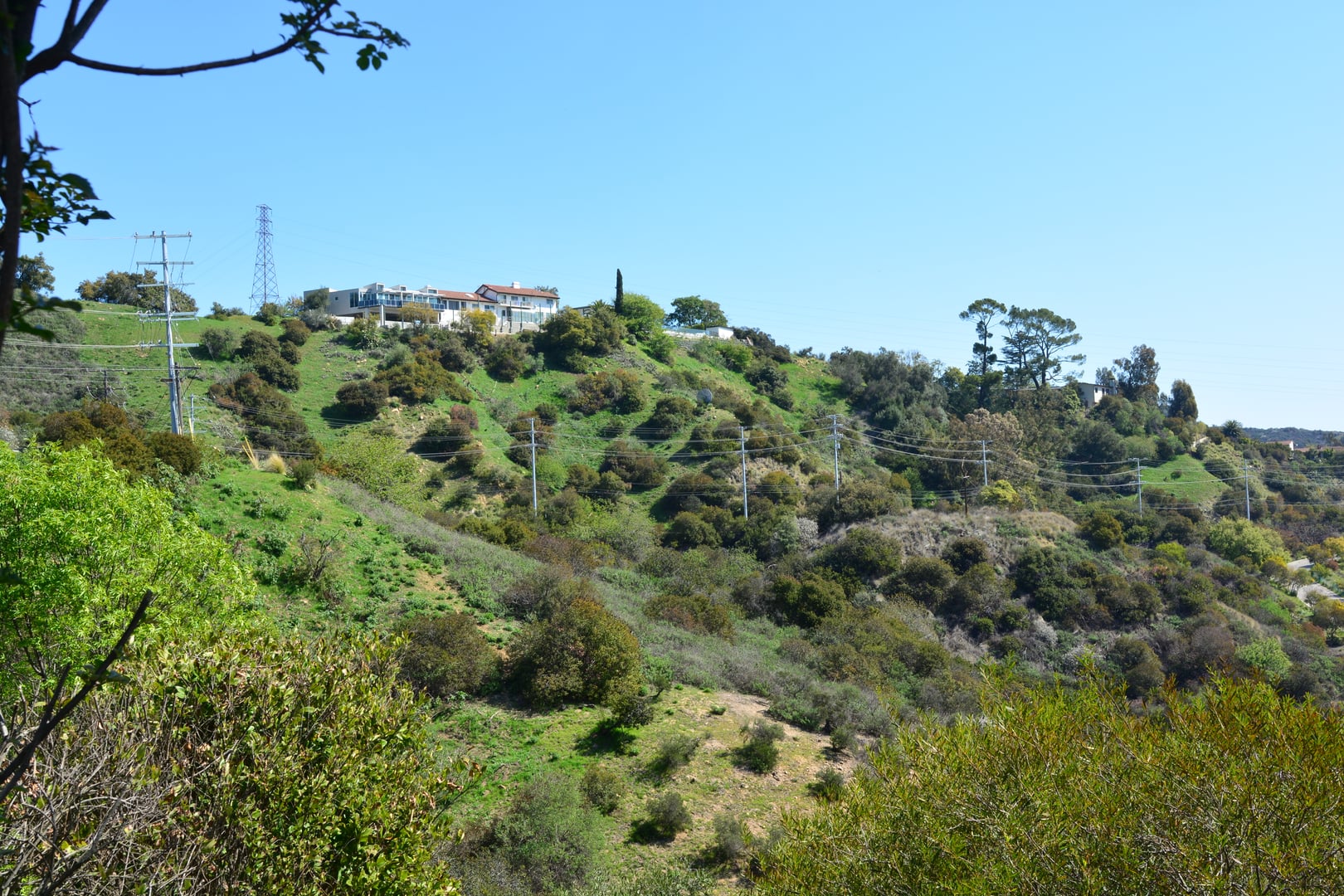 Scenic view across Laurel Canyon in the Hollywood Hills of Los Angeles, the wooded enclave linked by Lookout Mountain Drive and steeped in 1960s music and crime lore
