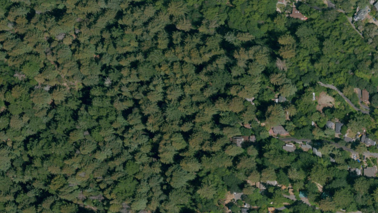 Aerial survey view of Lexington Reservoir (Submerged Towns of Alma and Lexington)