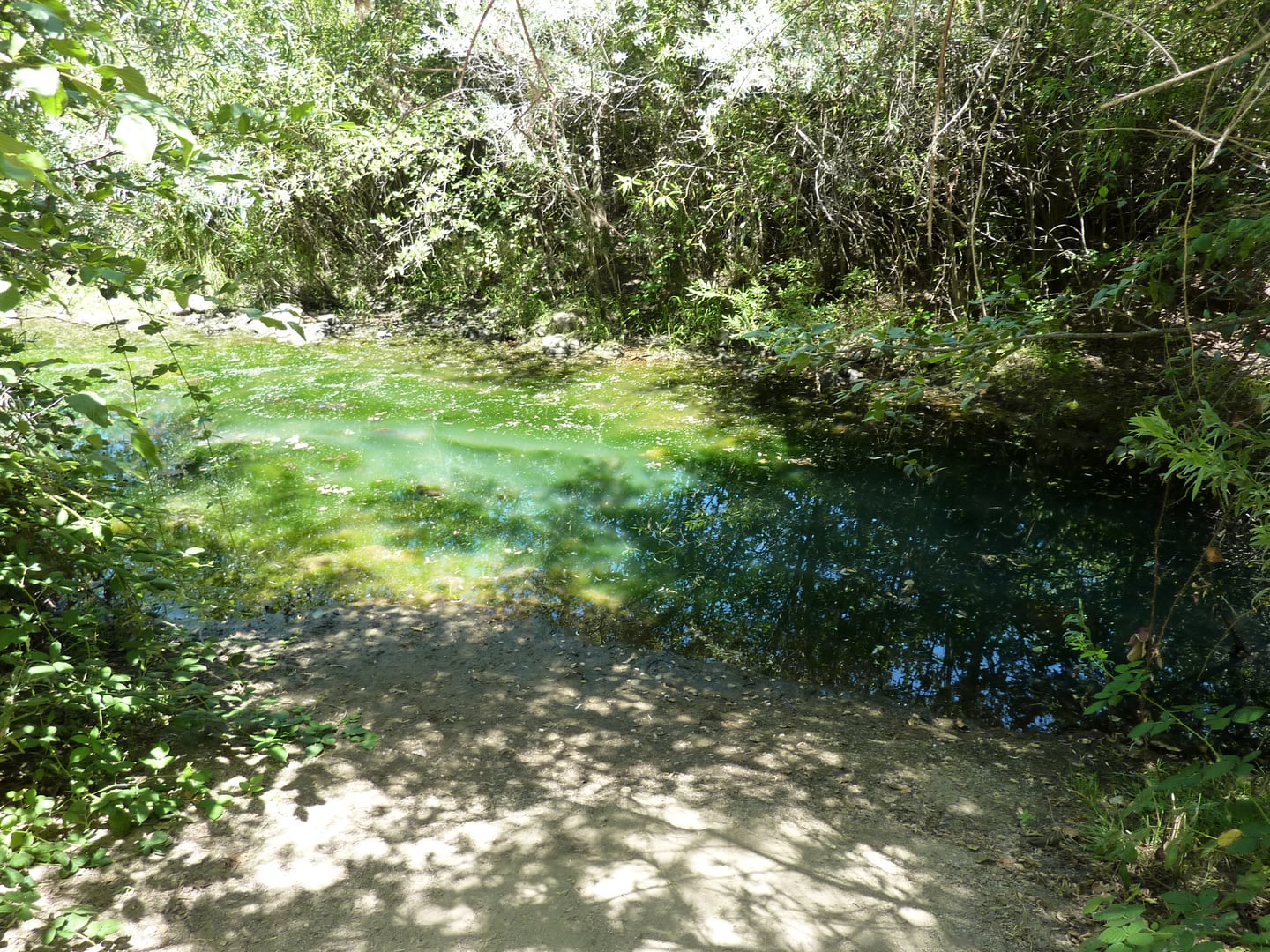 Photo of Marshall Gold Discovery State Historic Park