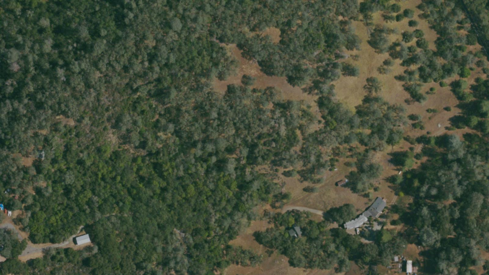 Aerial survey view of Mt. Madonna County Park (Henry Miller Estate Ruins)