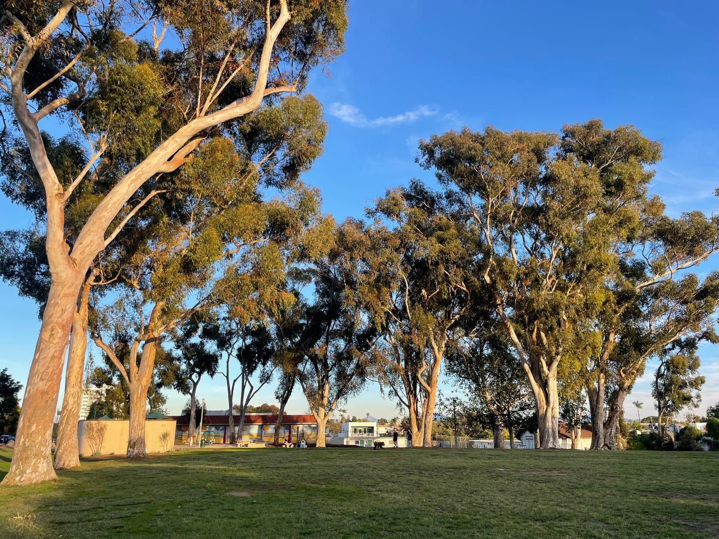 Photo of Pioneer Park (Calvary Cemetery)
