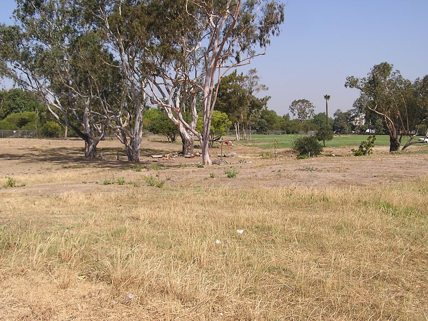 Photo of Puvungna Sacred Site at Cal State Long Beach