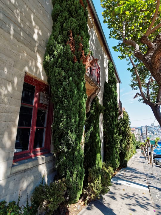 Board-formed concrete walls of the San Francisco Art Institute campus seen from the public sidewalk, with a red-framed window, a small balcony and cypress trees, September 2017.