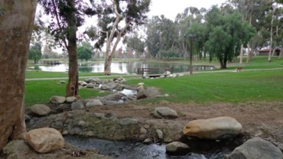 The central lake at Tri-City Park in Placentia, California, with walking paths visible along the shoreline