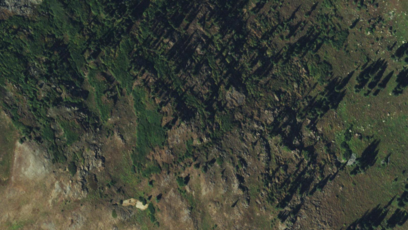 Aerial survey view of Animas Forks Ghost Town