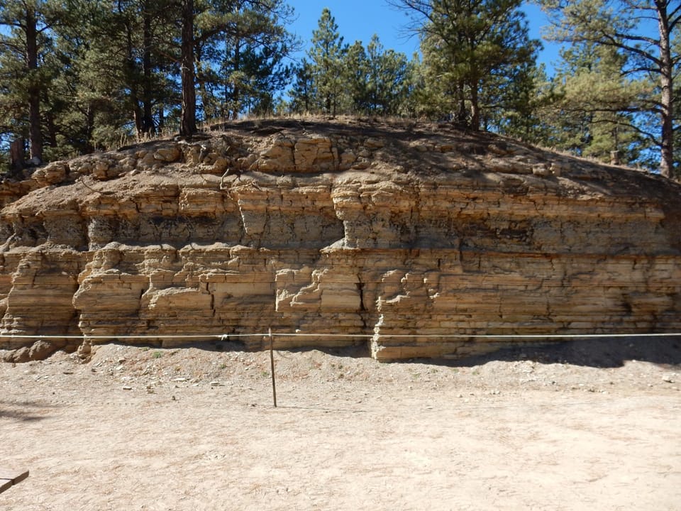 This image shows a cut in the Florrisant Formation at the Clare fossil quarry, a commercial fossil collection site in the town of Florissant, Colorado. The Florissant Formation is notable for its excellent preservation of Eocene fossils in paper shale produced by eruptions from the Thirtyone Mile Ca