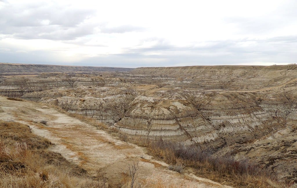 Located near Drumheller, Alberta this canyon is part of the Horseshoe Canyon network in the Alberta Badlands.