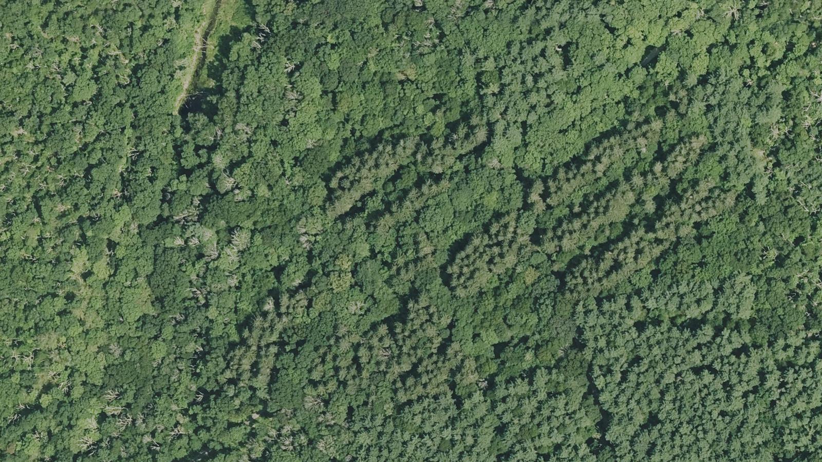 Aerial survey view of Breakneck Hill Road