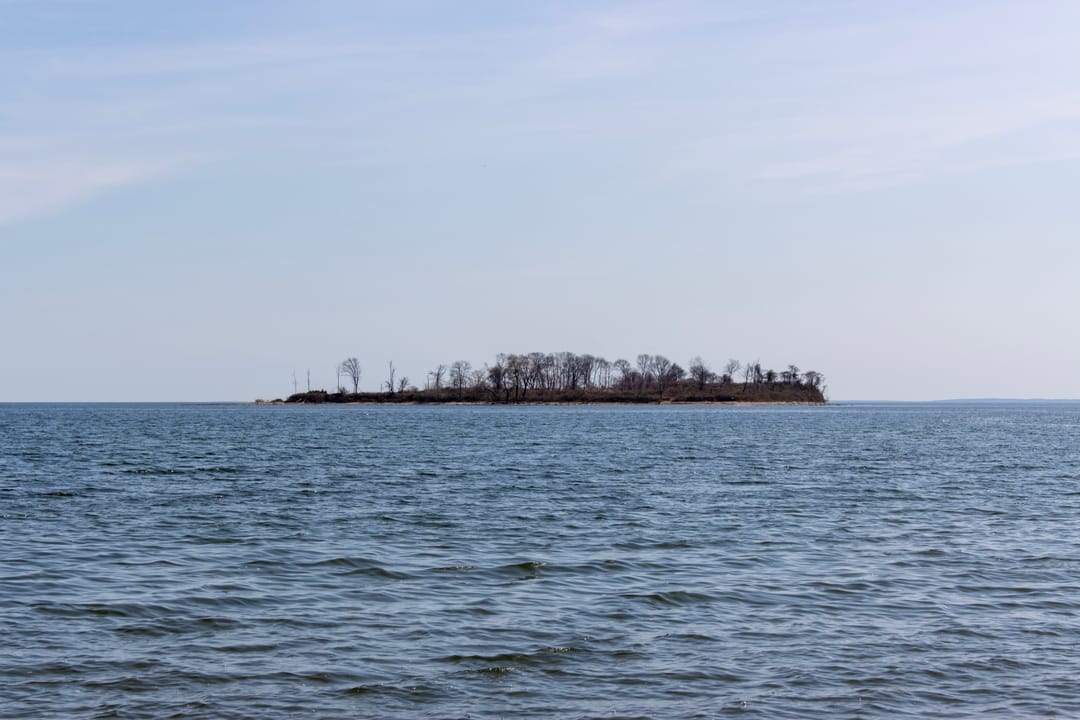 A photograph of Charles Island in Milford, Connecticut, United States taken from Silver Sands State Park on March 13th, 2024. The photograph was taken during high tide, when the tombolo used to access the island was underwater.