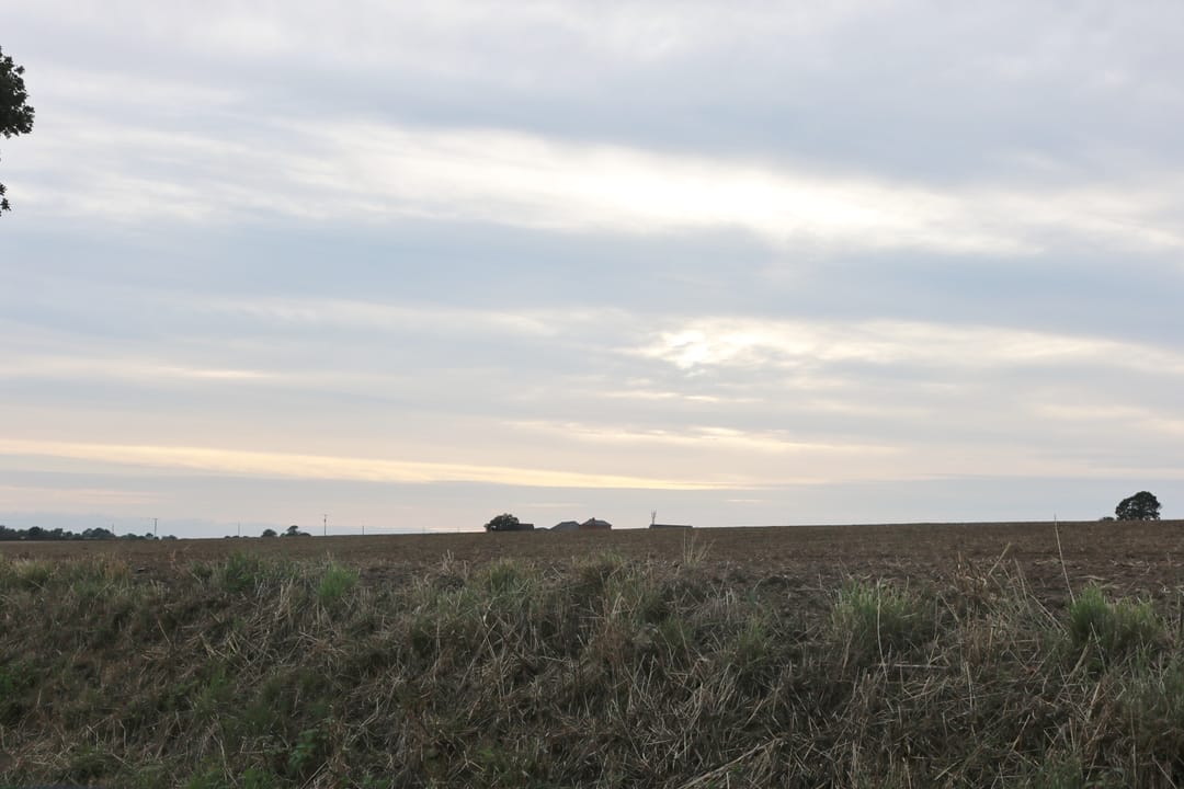 Field by Hill Road, Great Oakley