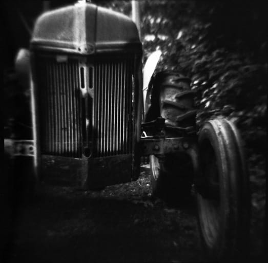 Found it behind the maintenance shed at Indian Well State Park.