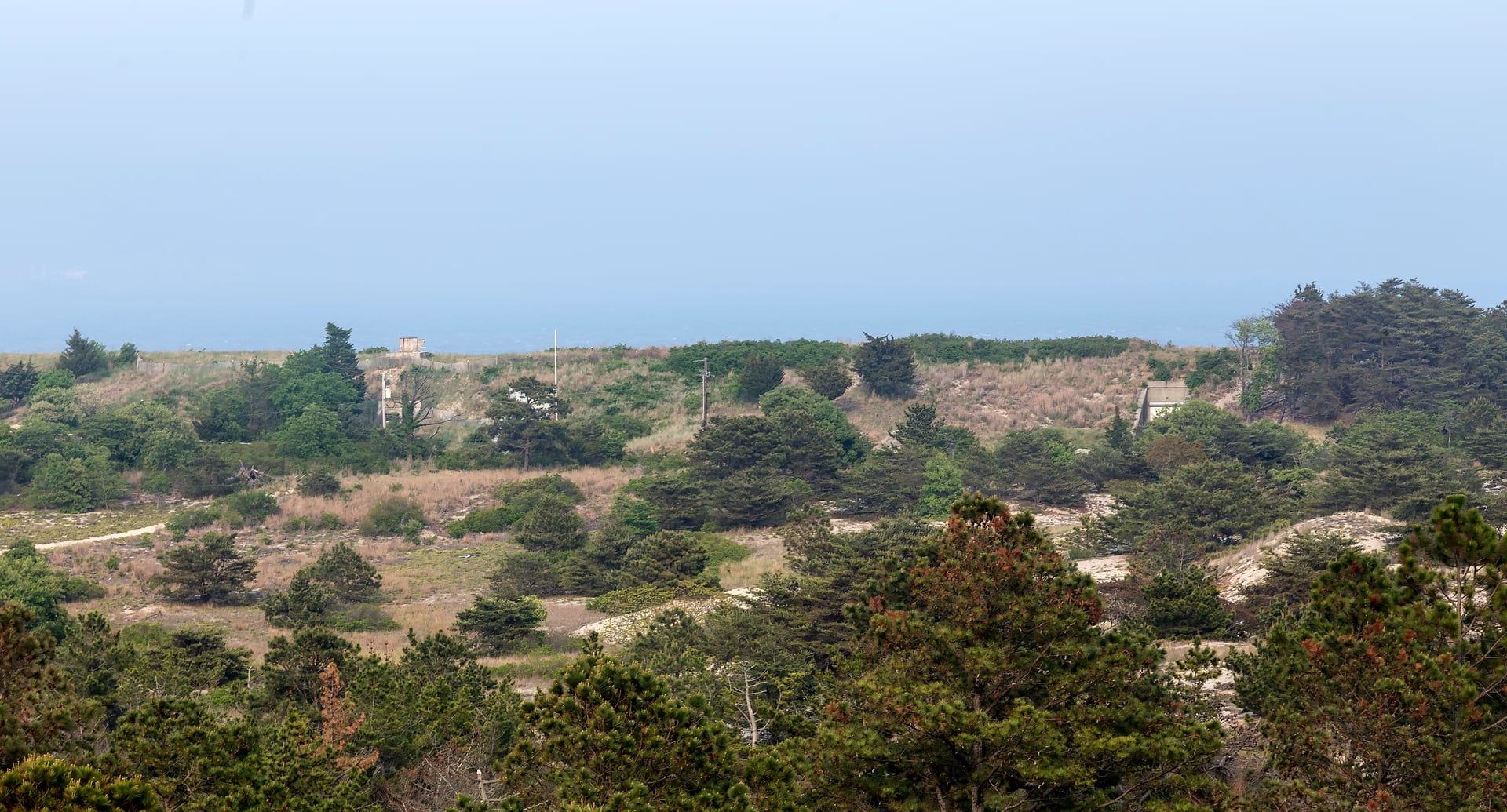 Photo of Cape Henlopen State Park (Fort Miles)