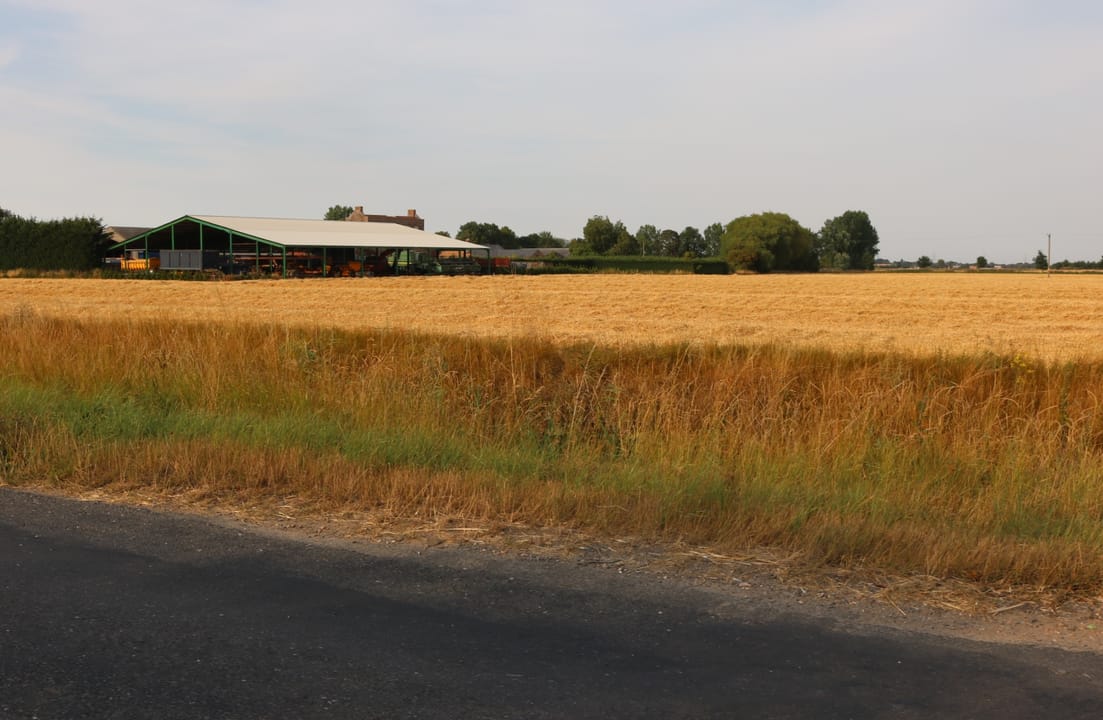 Farm by West Drove North, Walton Highway