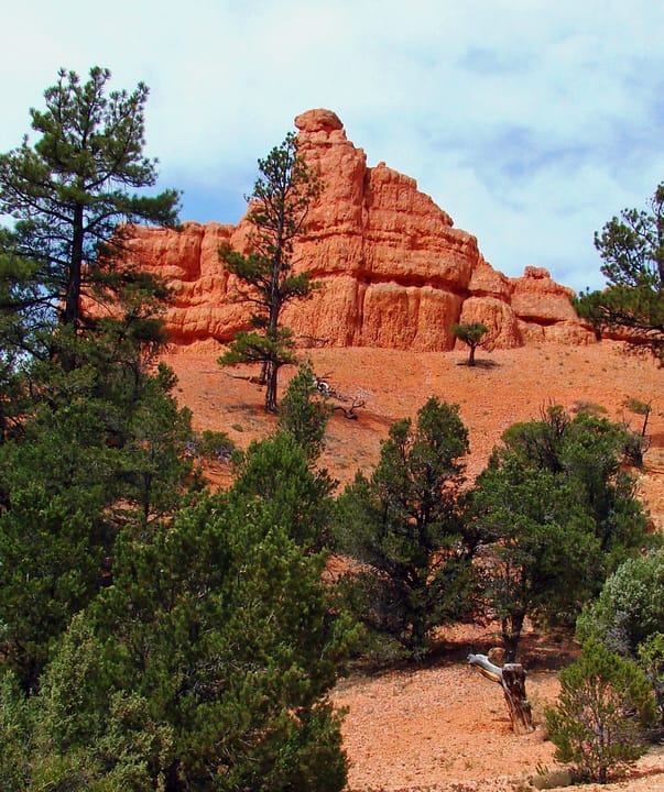 (1 in a multiple picture album)
If you are going to Bryce Canyon National Park and coming from the west on Highway 12, make sure to take an hour to stop at this little park right alongside the road. High through it and you will be amazed at the colors you see. They rival the national park.
