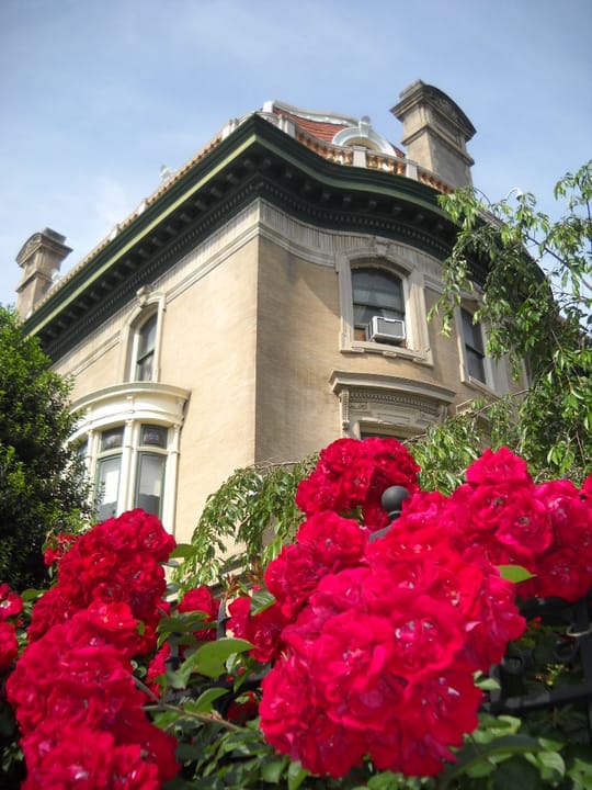 A corner of the Walsh-McLean House in summer, framed by red roses, 2020 Massachusetts Avenue NW