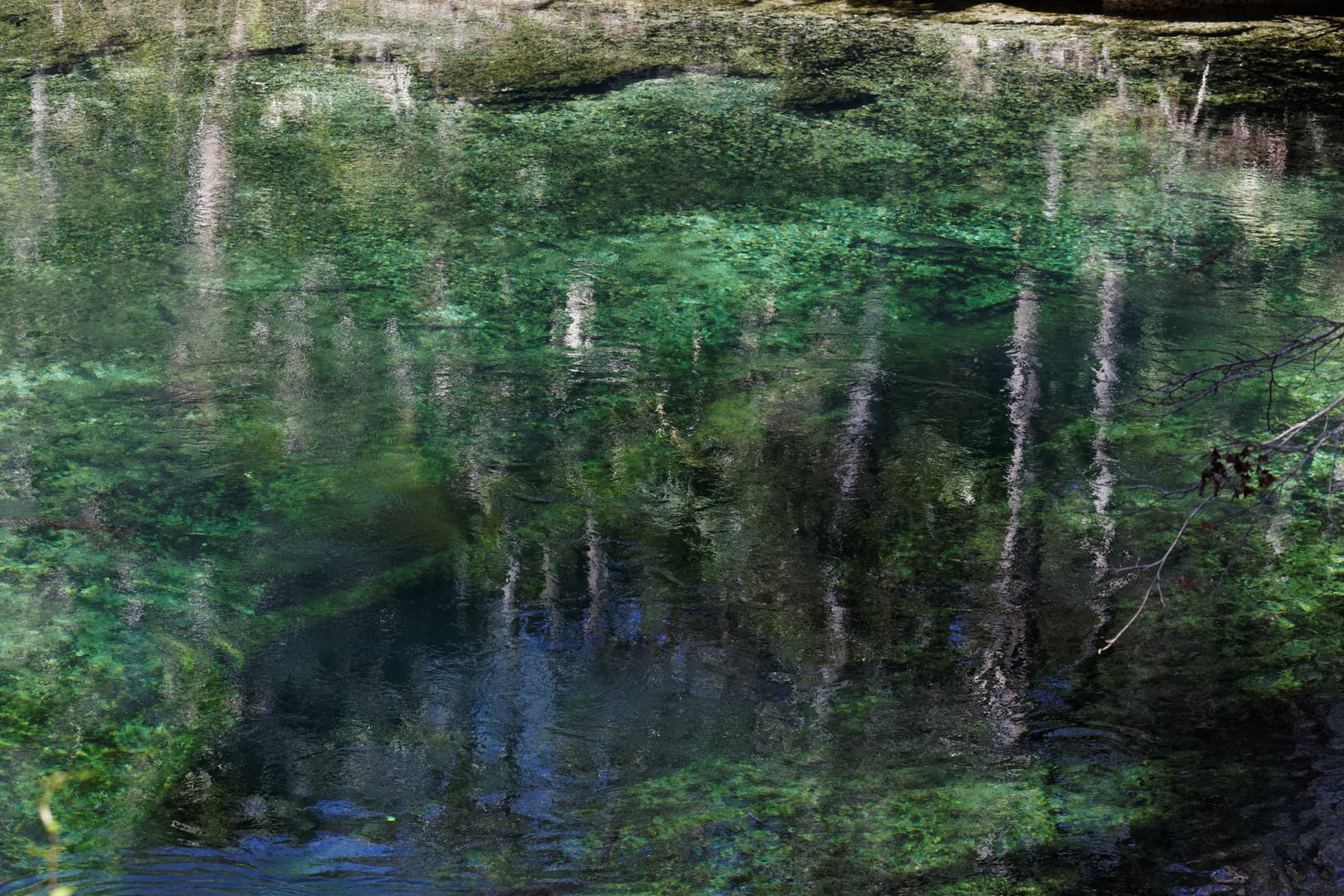 Open Graph image from www.floridastateparks.org