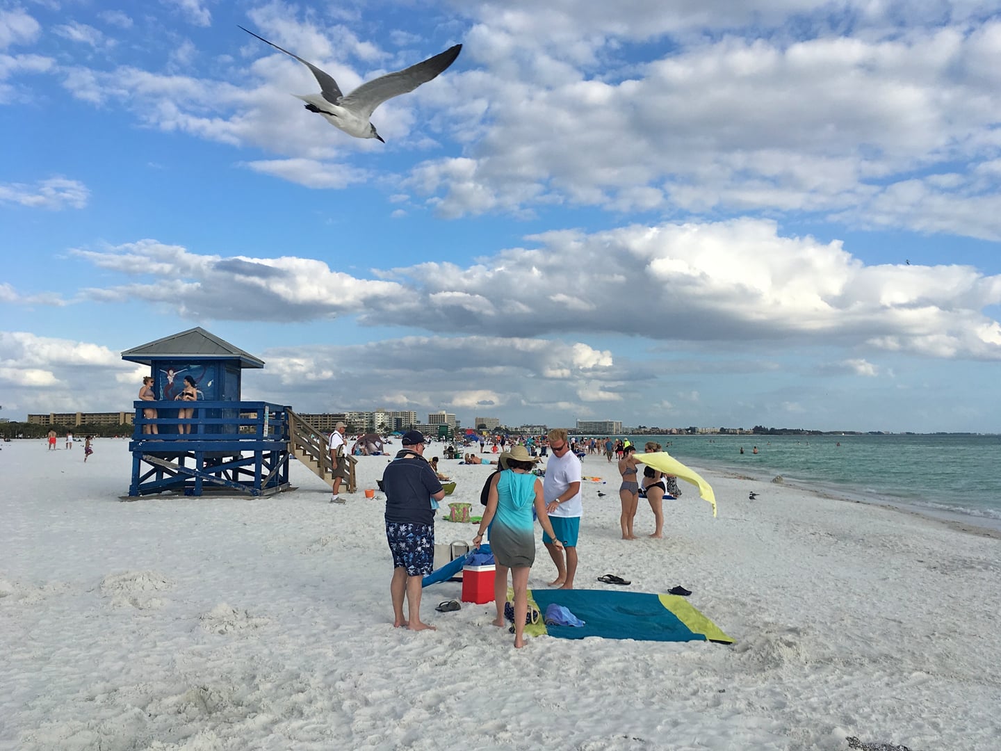 Coquina Beach picnic area and shoreline at the southern tip of Anna Maria Island