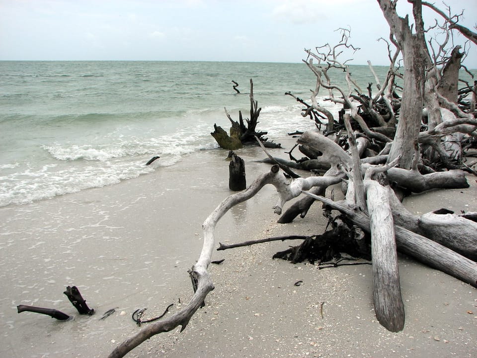 Photo of South Seas
