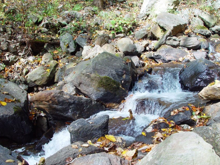 Photo of Amicalola Falls State Park & Lodge