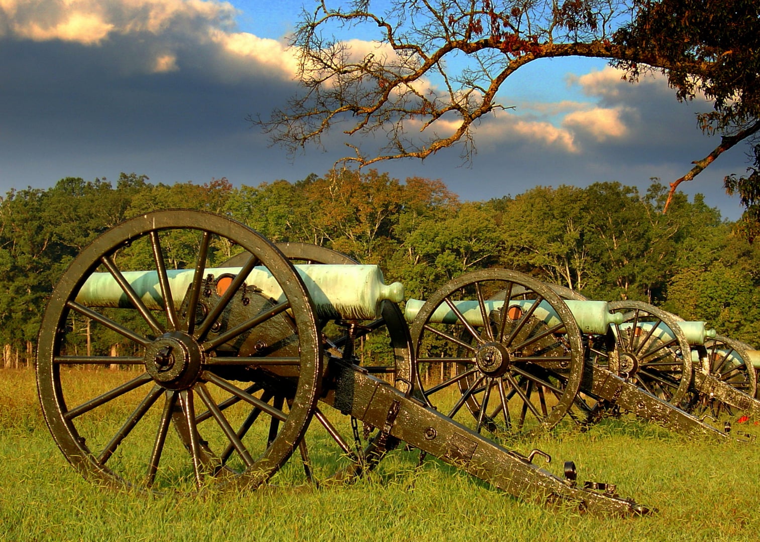 Row of Civil War cannon at Bloom's Louisiana Battery, Chickamauga and Chattanooga National Military Park, Georgia