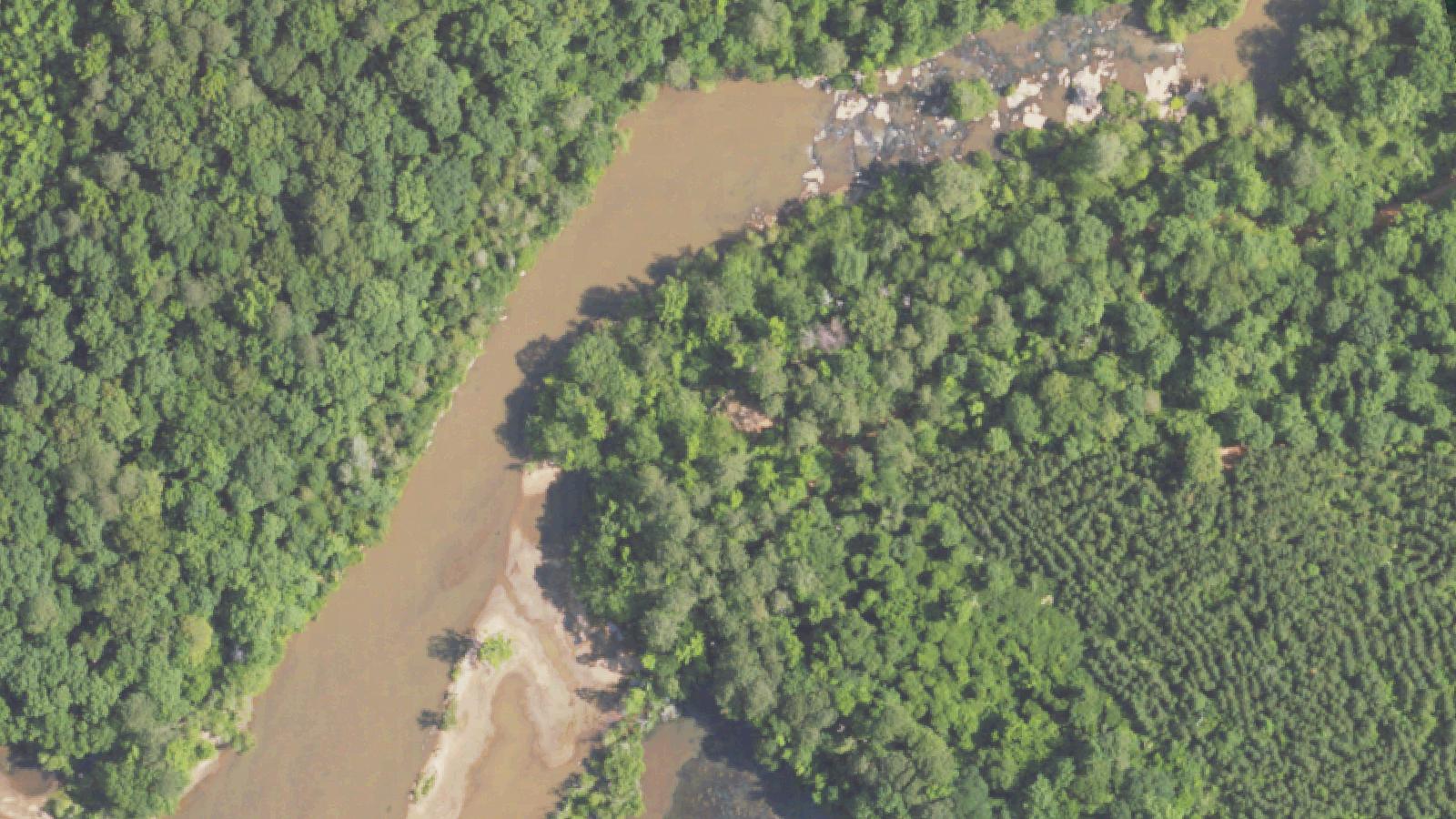 Aerial survey view of McCosh Mill Ruins